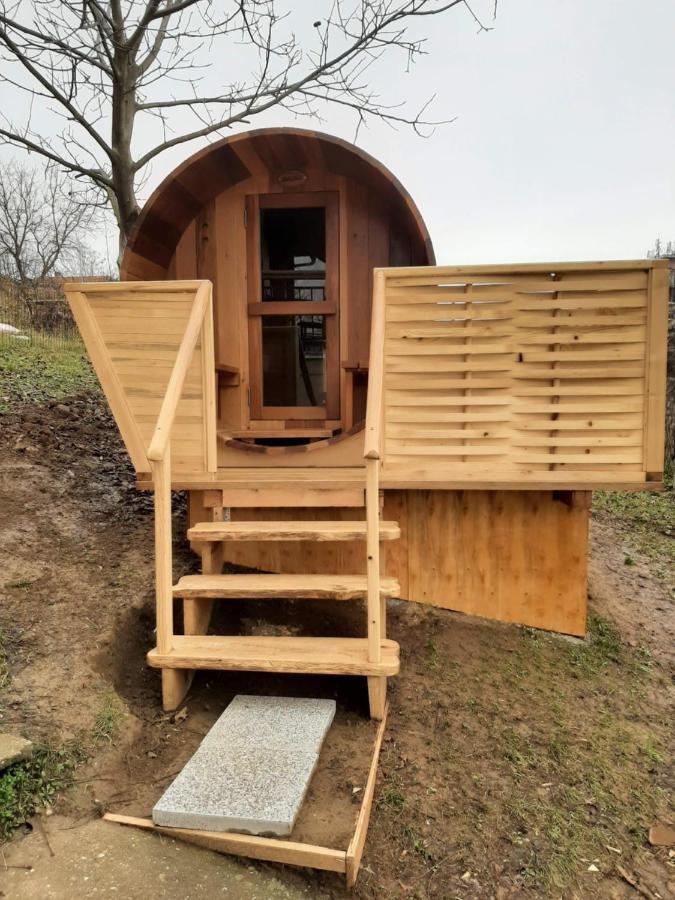 Apartmani Zuti Leptir Vrdnik Exterior foto